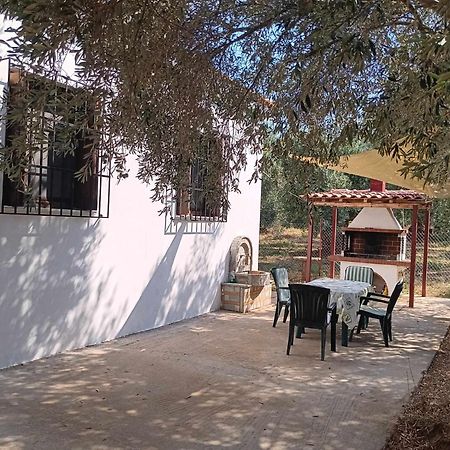 The Small House In The Olive Grove Лефокастро Екстер'єр фото