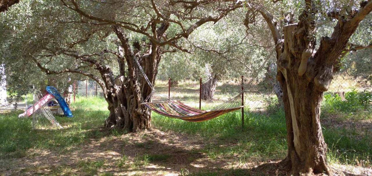 The Small House In The Olive Grove Лефокастро Екстер'єр фото
