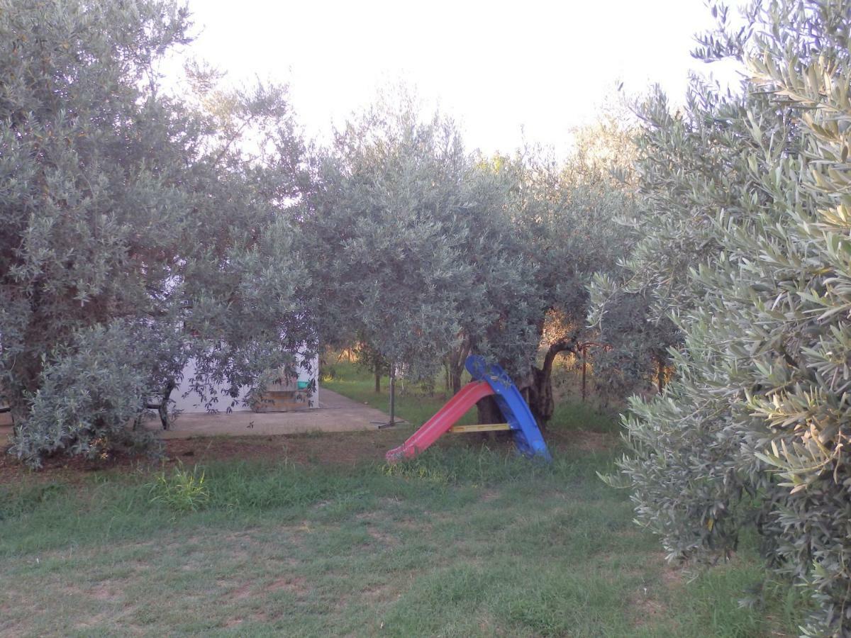 The Small House In The Olive Grove Лефокастро Екстер'єр фото
