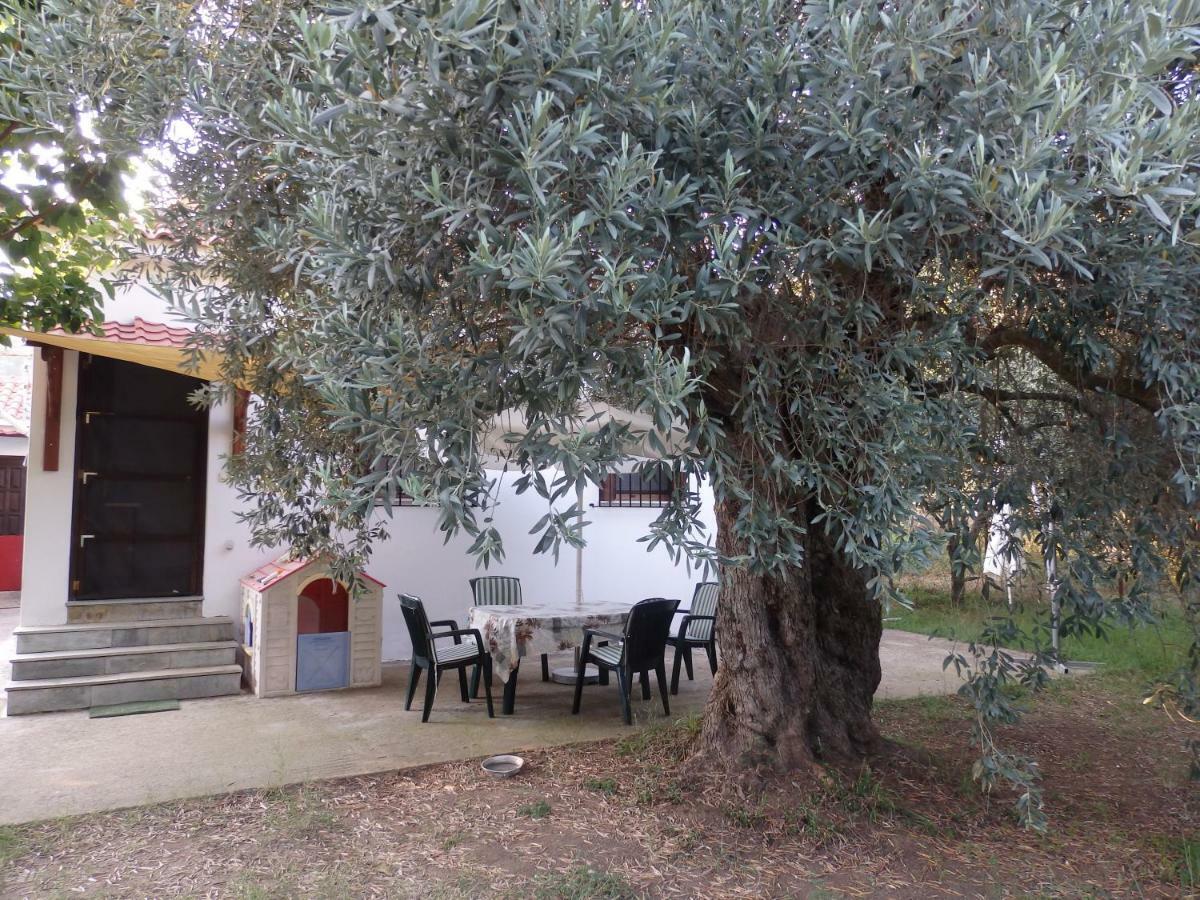 The Small House In The Olive Grove Лефокастро Екстер'єр фото