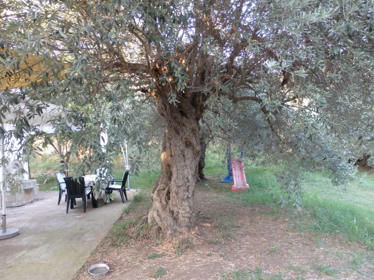 The Small House In The Olive Grove Лефокастро Екстер'єр фото